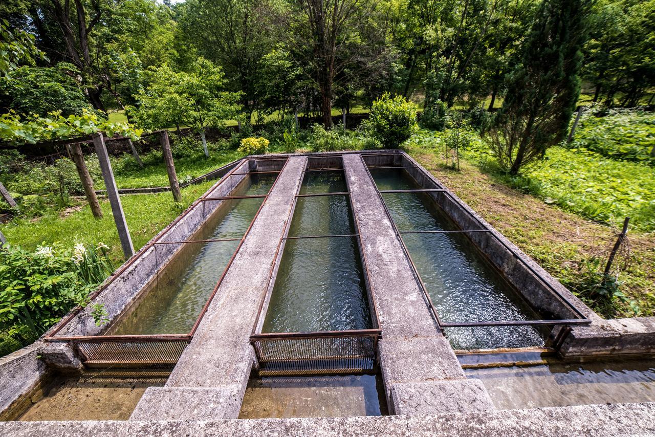 Willa Eko House Dobrenica Bihać Zewnętrze zdjęcie