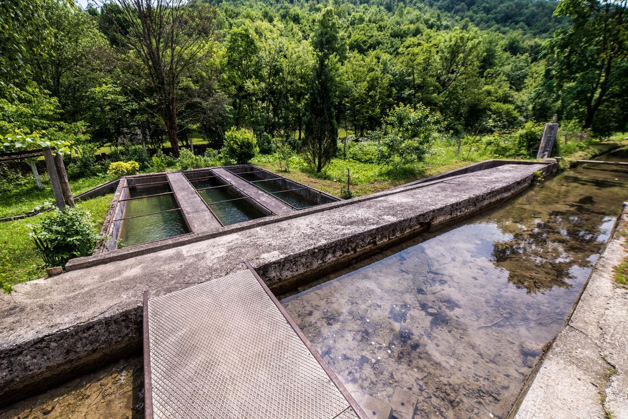 Willa Eko House Dobrenica Bihać Zewnętrze zdjęcie